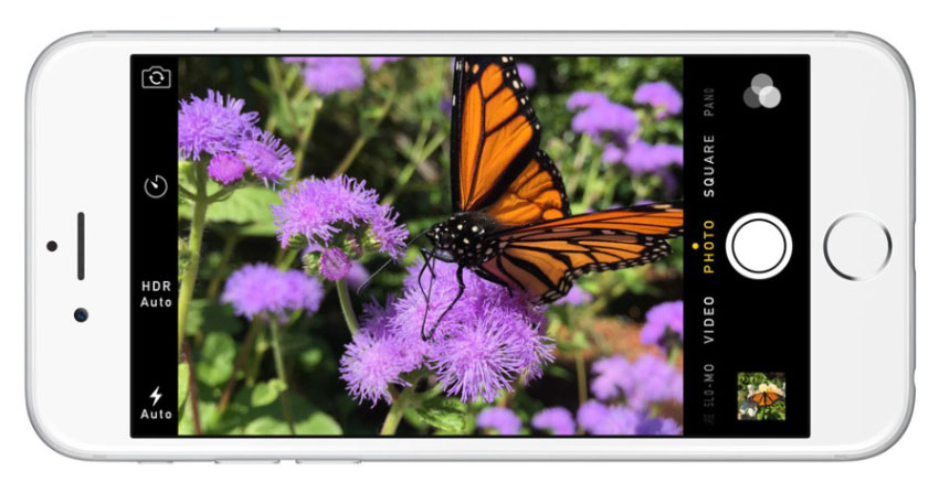 iPhone 6 Plus iPhone 6 Plus