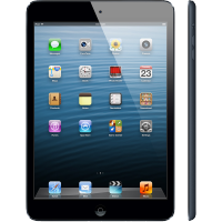 Apple iPad Mini 16Gb Black Wi-Fi