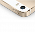 Apple iPhone 5S 16GB Gold (Золотой)